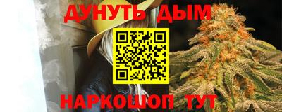 шишки Балашиха