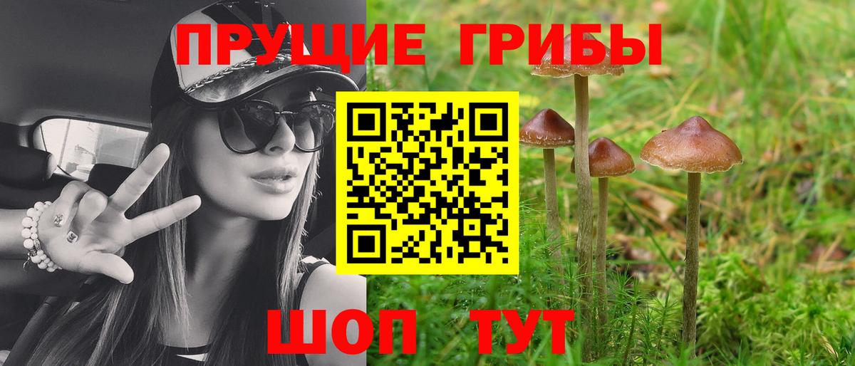 Кинешма  Псилоцибиновые грибы Psilocybine cubensis  где купить наркоту  Вход с VPN 